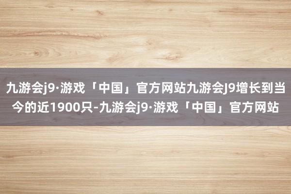 九游会j9·游戏「中国」官方网站九游会J9增长到当今的近1900只-九游会j9·游戏「中国」官方网站