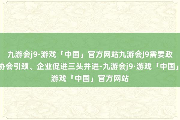 九游会j9·游戏「中国」官方网站九游会J9需要政府主导、协会引颈、企业促进三头并进-九游会j9·游戏「中国」官方网站