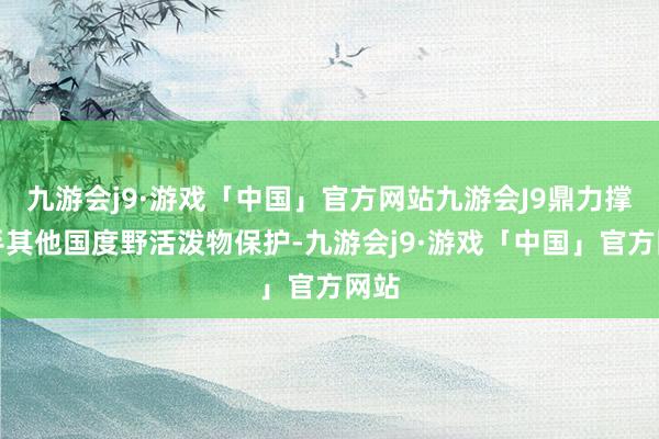 九游会j9·游戏「中国」官方网站九游会J9鼎力撑合手其他国度野活泼物保护-九游会j9·游戏「中国」官方网站